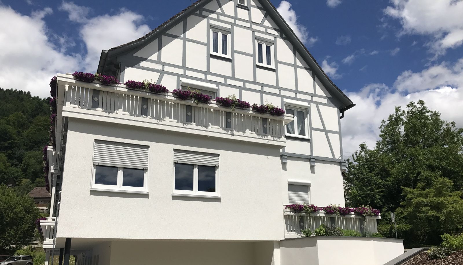 Buitenruimte van het hotel - Boardinghouse Bärental
