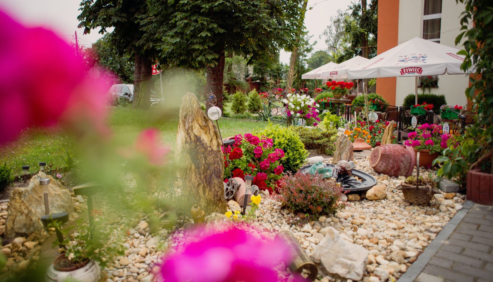 Giardino - Bursztyn