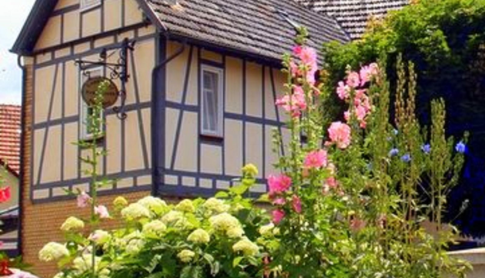 Buitenruimte van het hotel - Landhotel Nonnenroth
