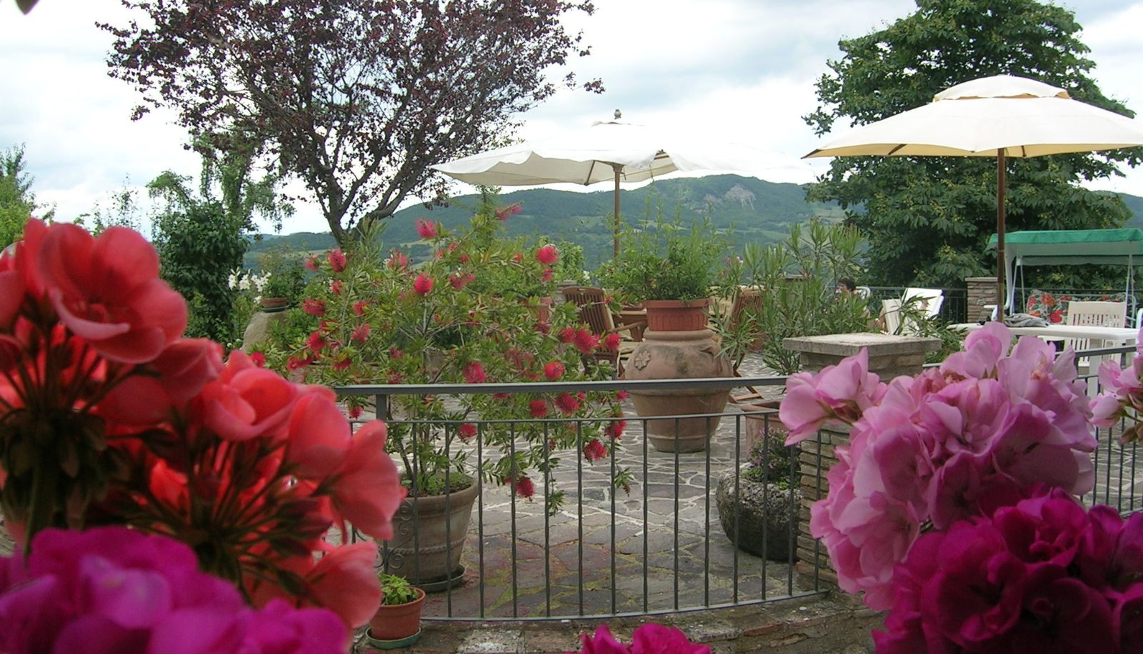 Terras - La Terrazza del Subasio B&B