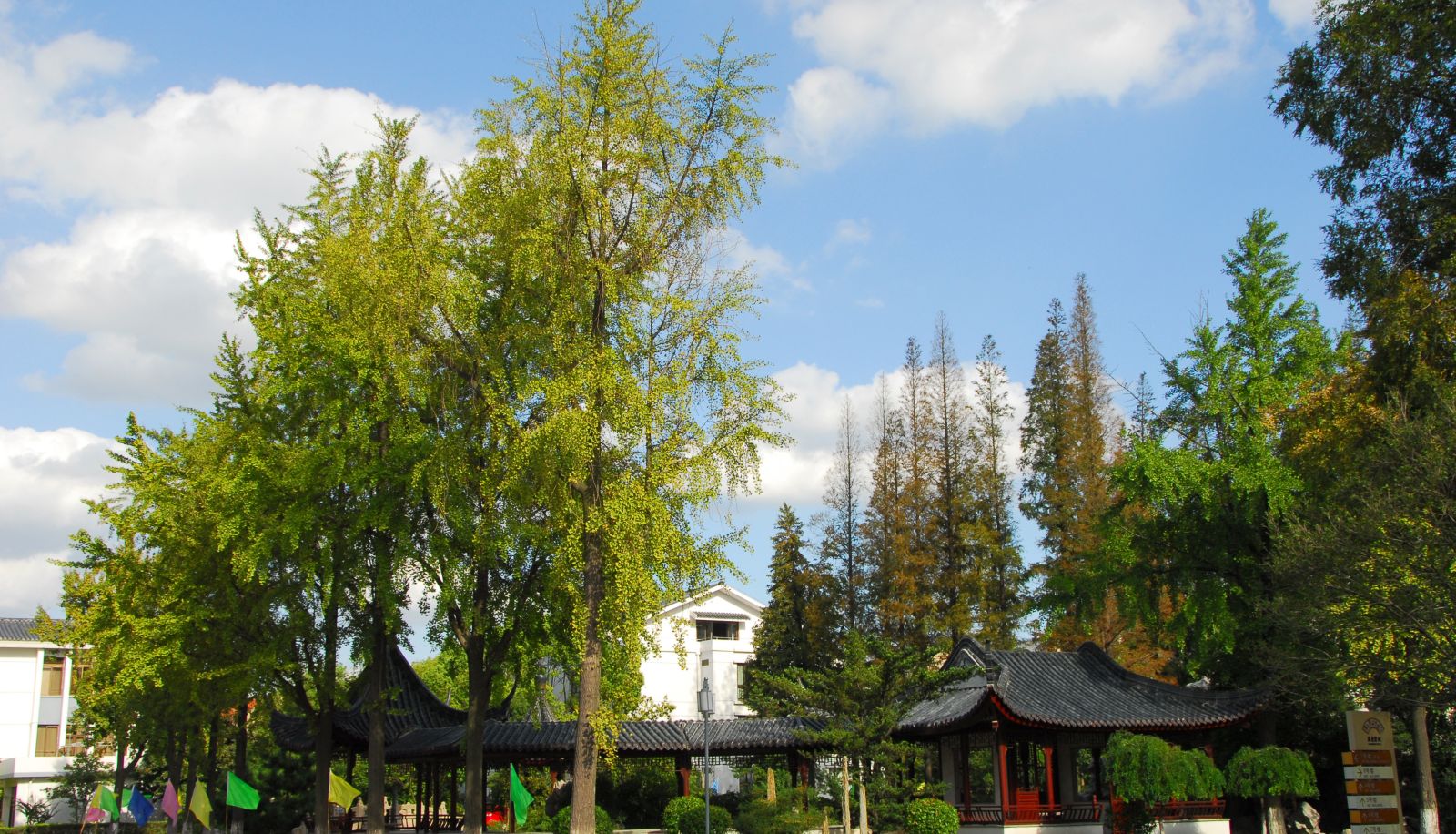 Garten - Loudong Hotel