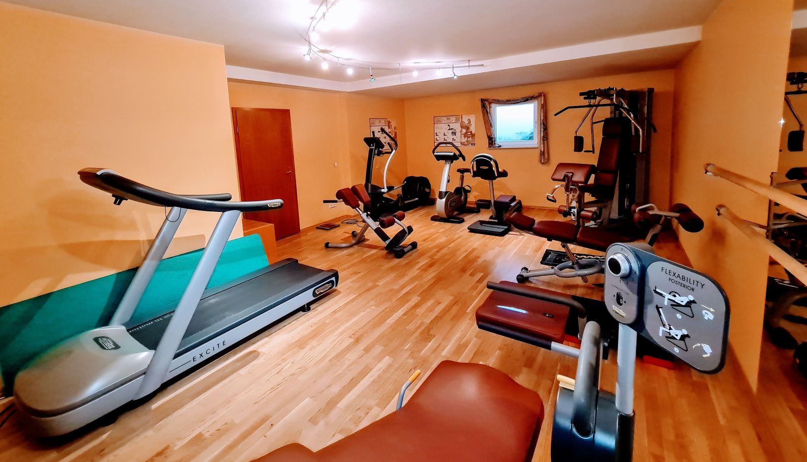 Gimnasio - Felix