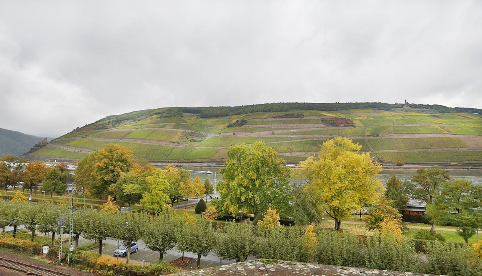 Widok - Krone