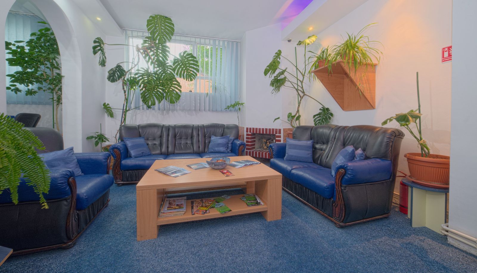 Hotel Innenbereich - Pensiunea Leo