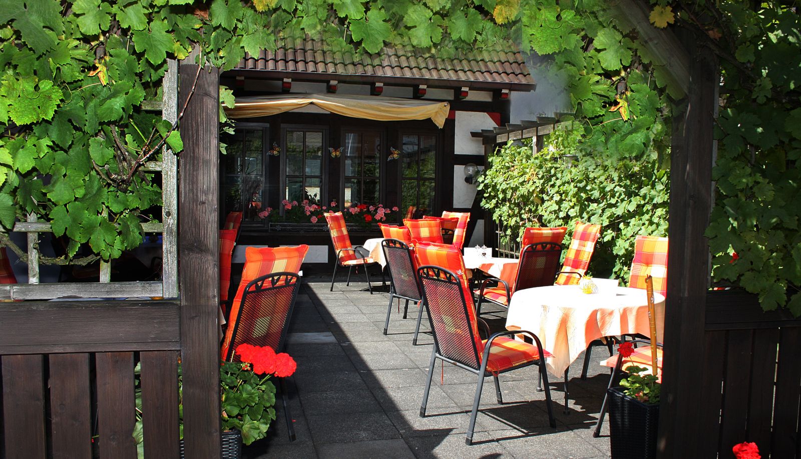 Terrace - Cordial