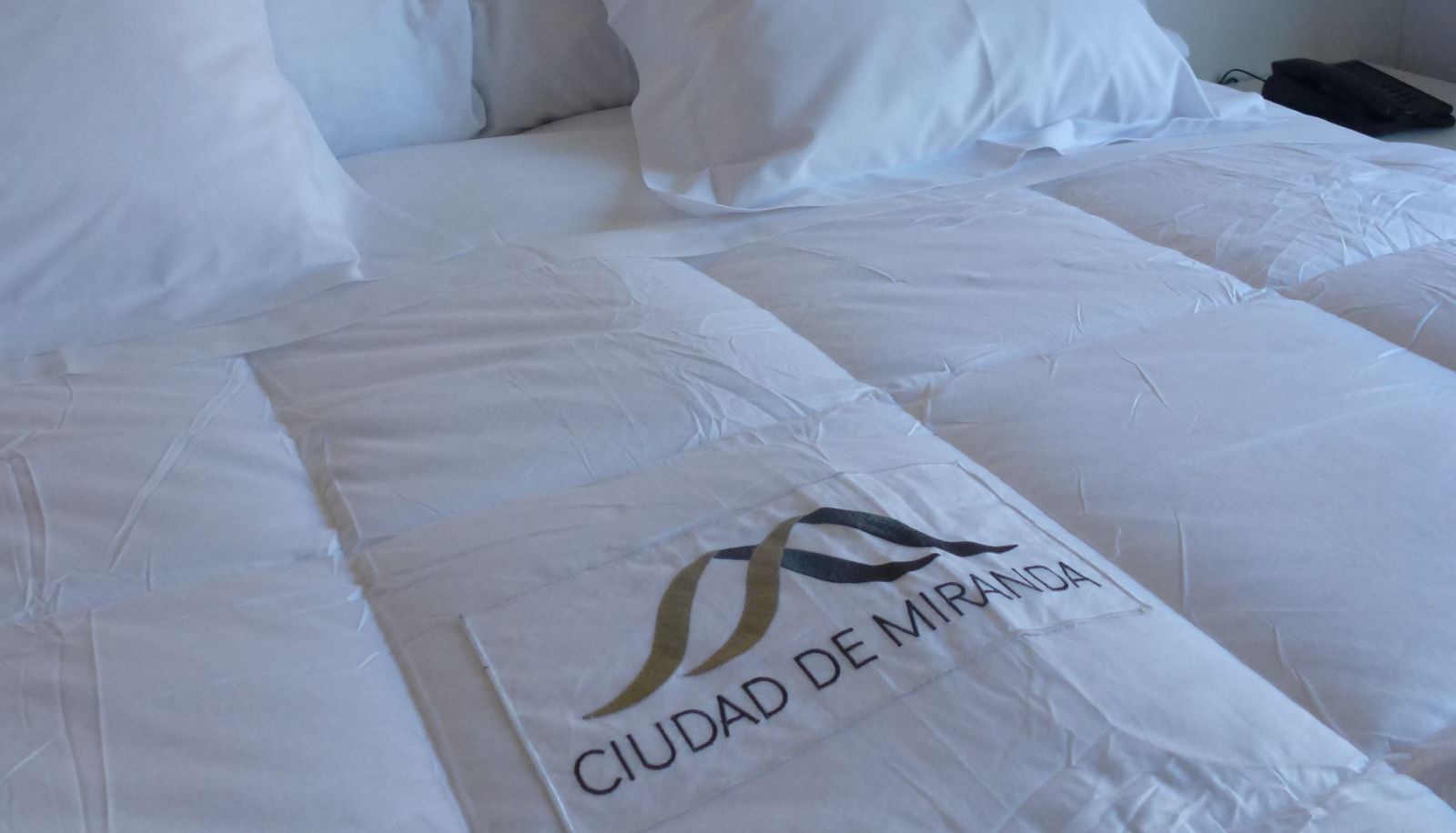 Standard room (double) - Sercotel Ciudad de Miranda