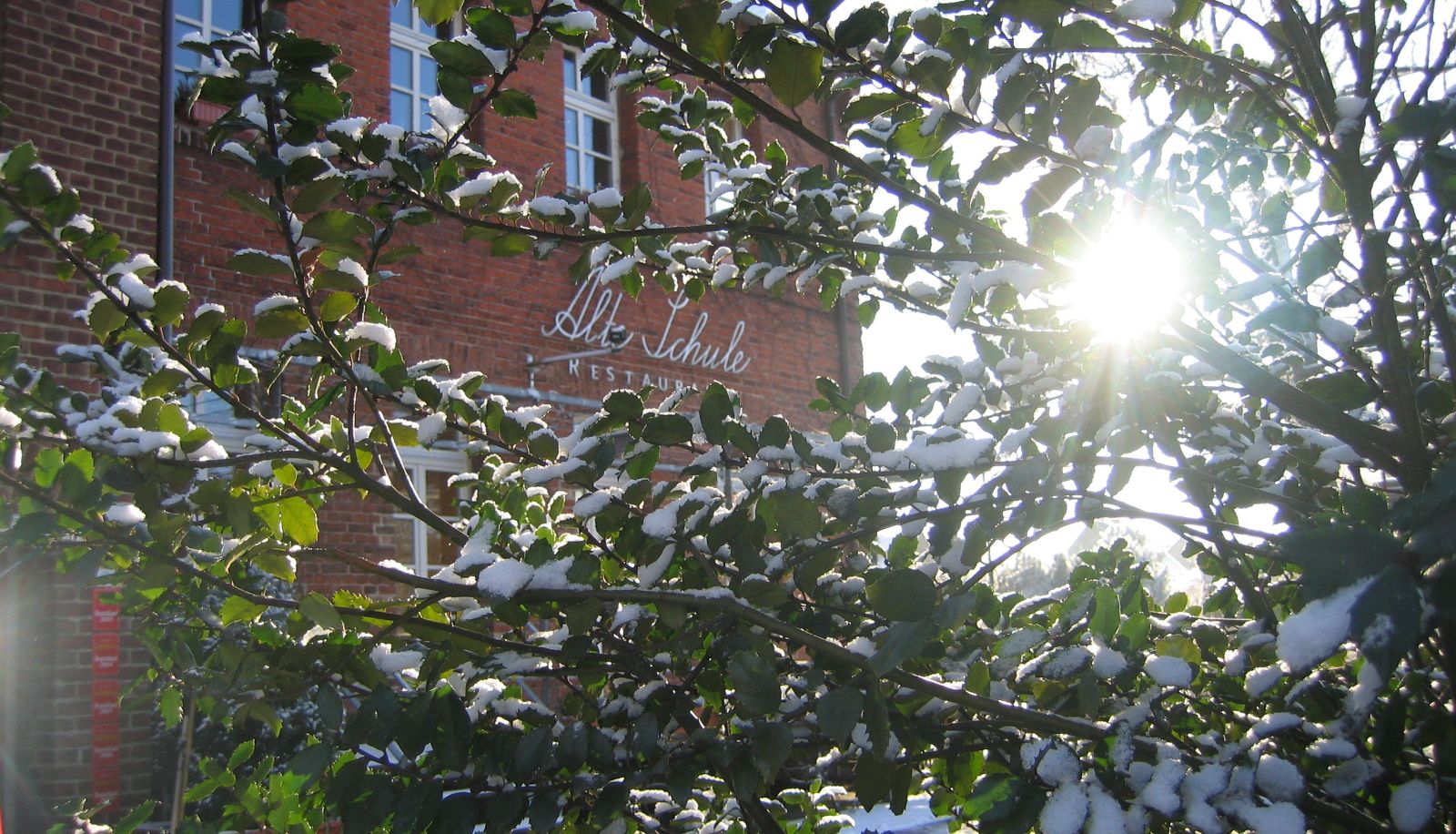 View - Alte Schule
