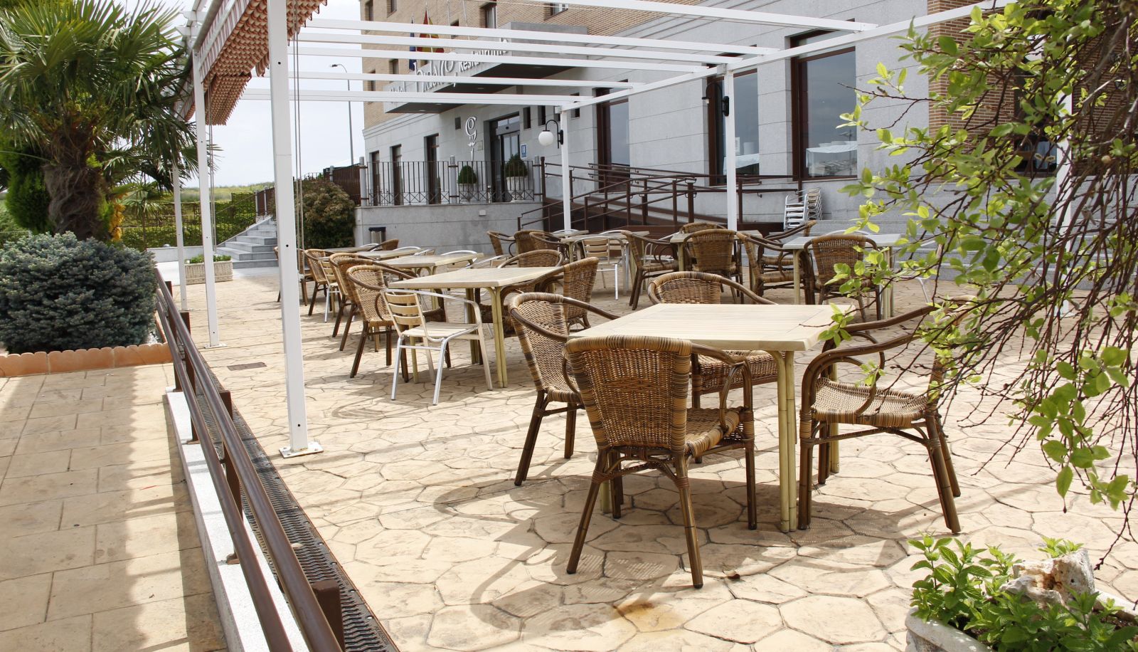 Terrazza - Hidalgo
