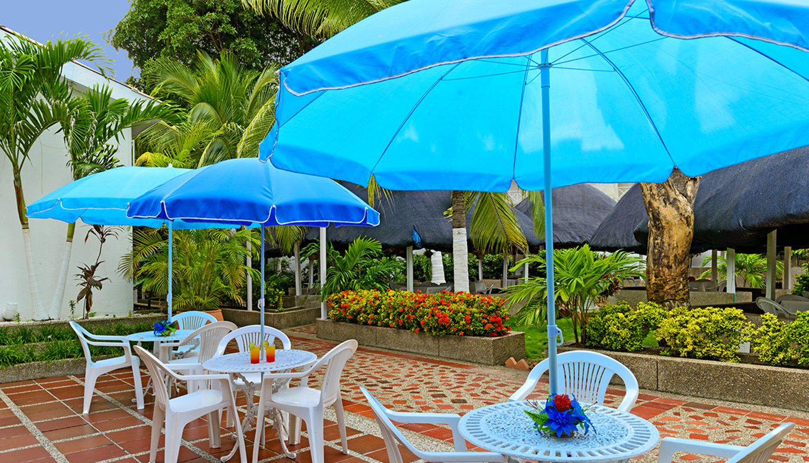 Entorno - Dorado Plaza Bocagrande