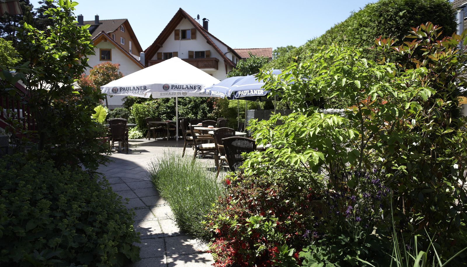 Terras - Rebstock Kappelwindeck