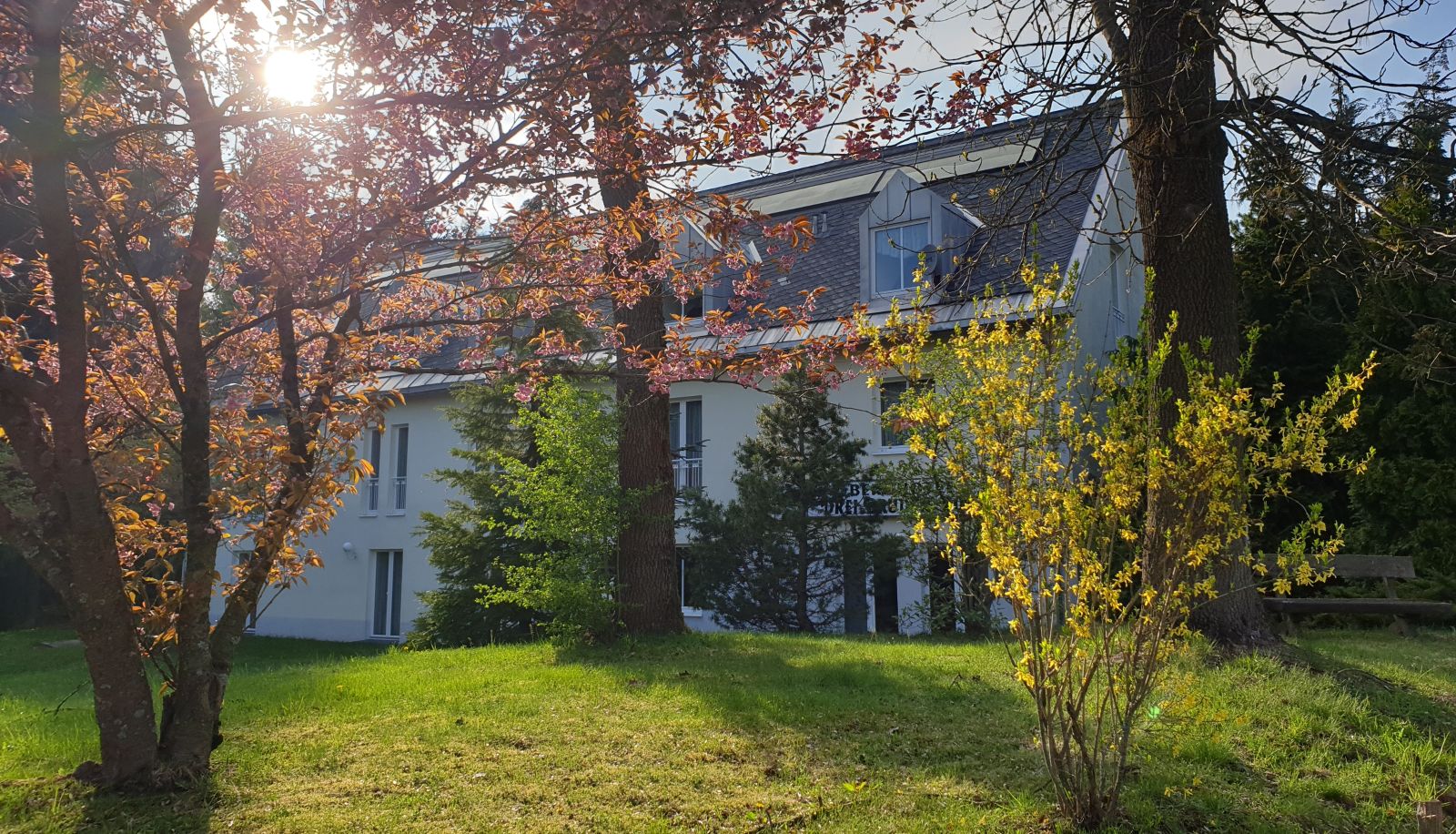 Buitenruimte van het hotel - Drei Brüder Höhe Berghotel