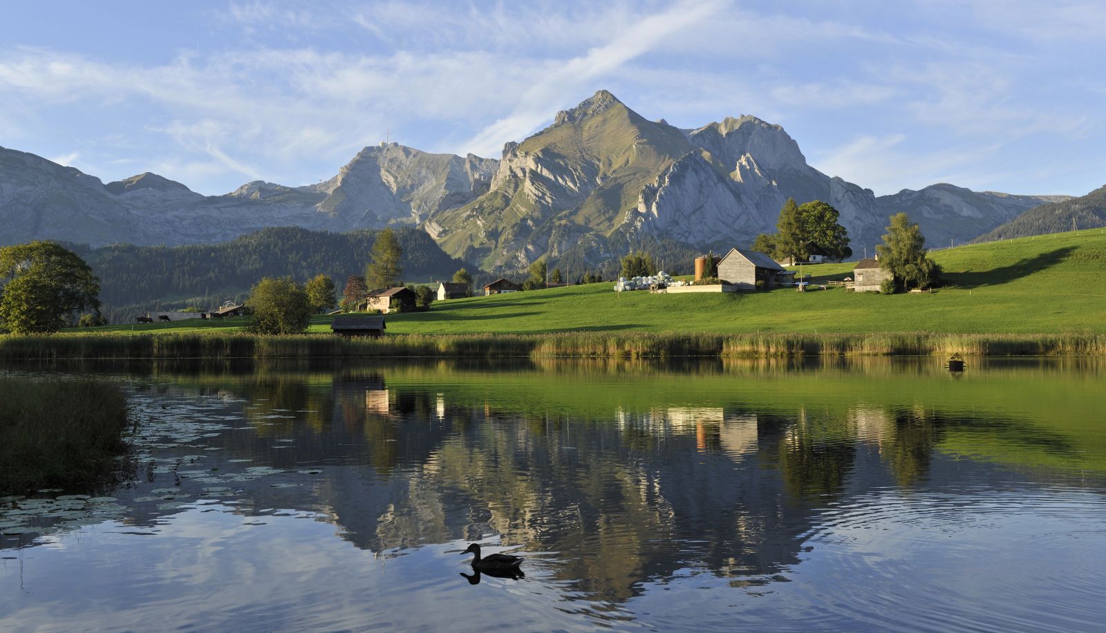 Info - Sonne