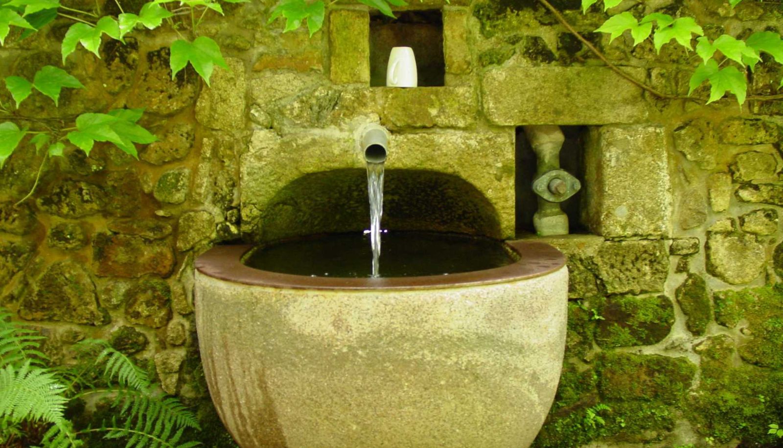 Info - Quinta da Picaria