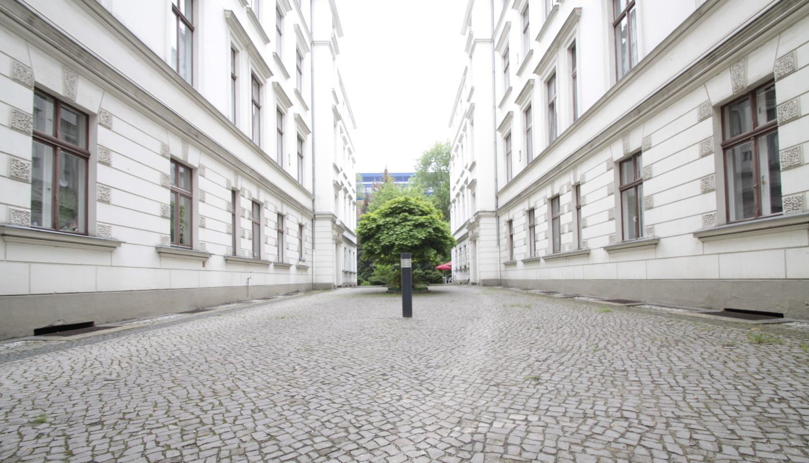 Garden - Tiergarten
