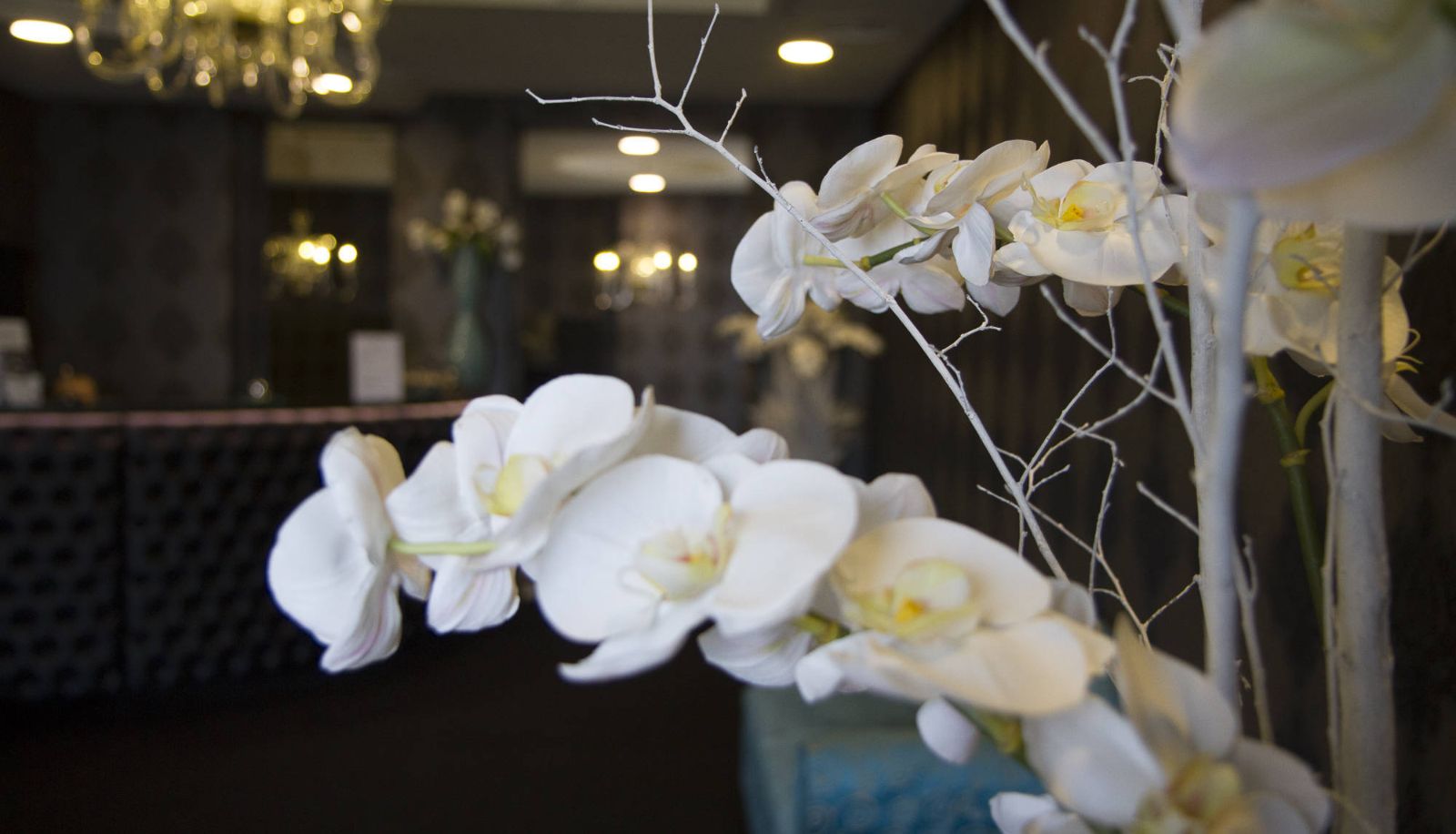 Lobby - Kleopatra Design Hotel