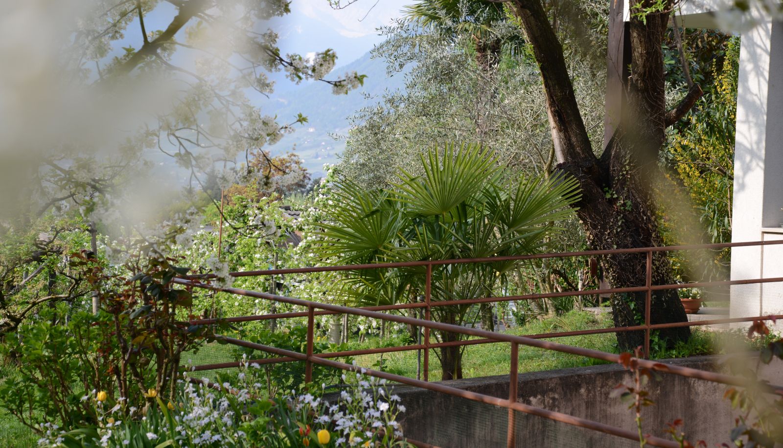 Garten - Tannerhof