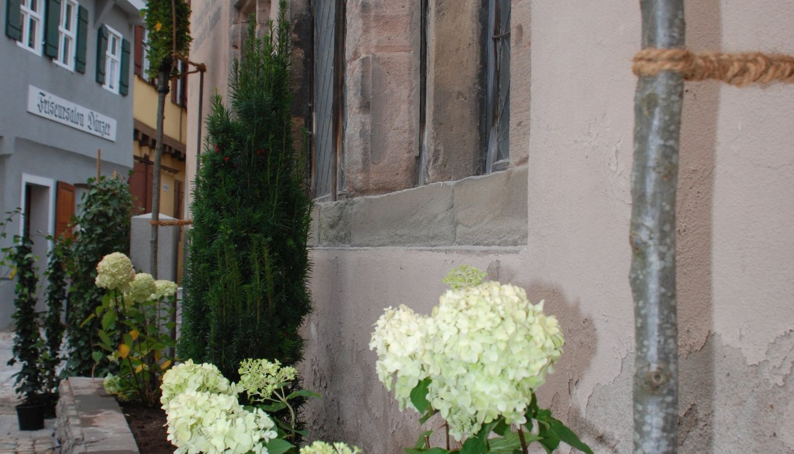 Garden - Luise