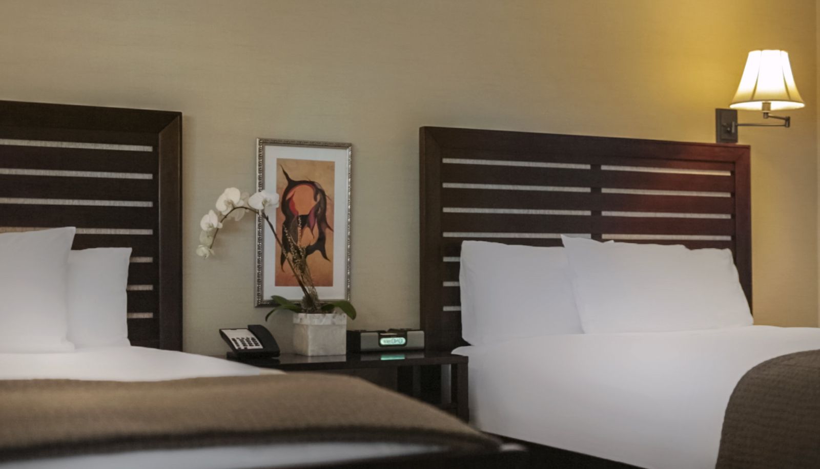 Camera standard (doppia) - CUPERTINO HOTEL