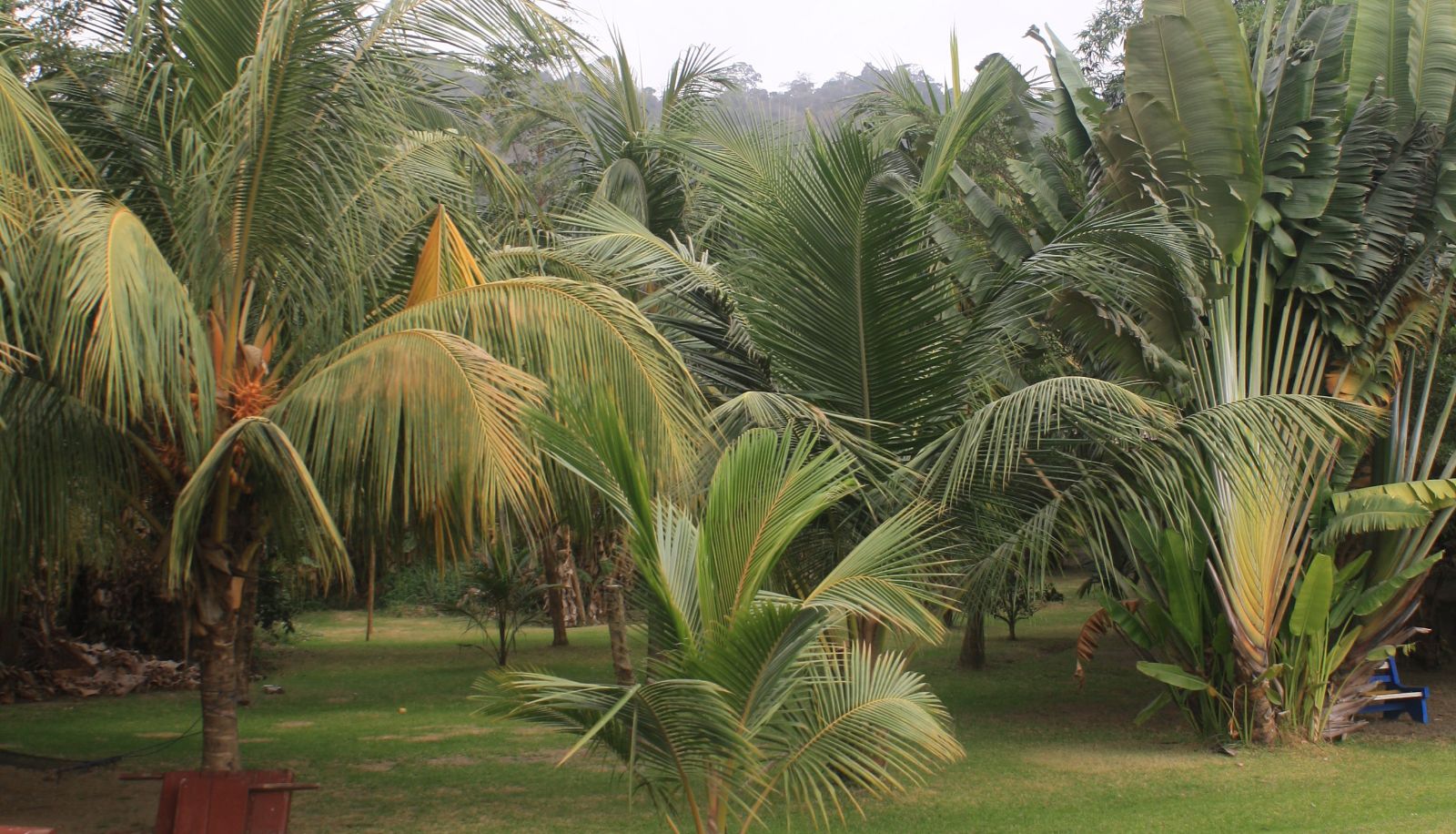 Surrounding - Lake Point Guest House
