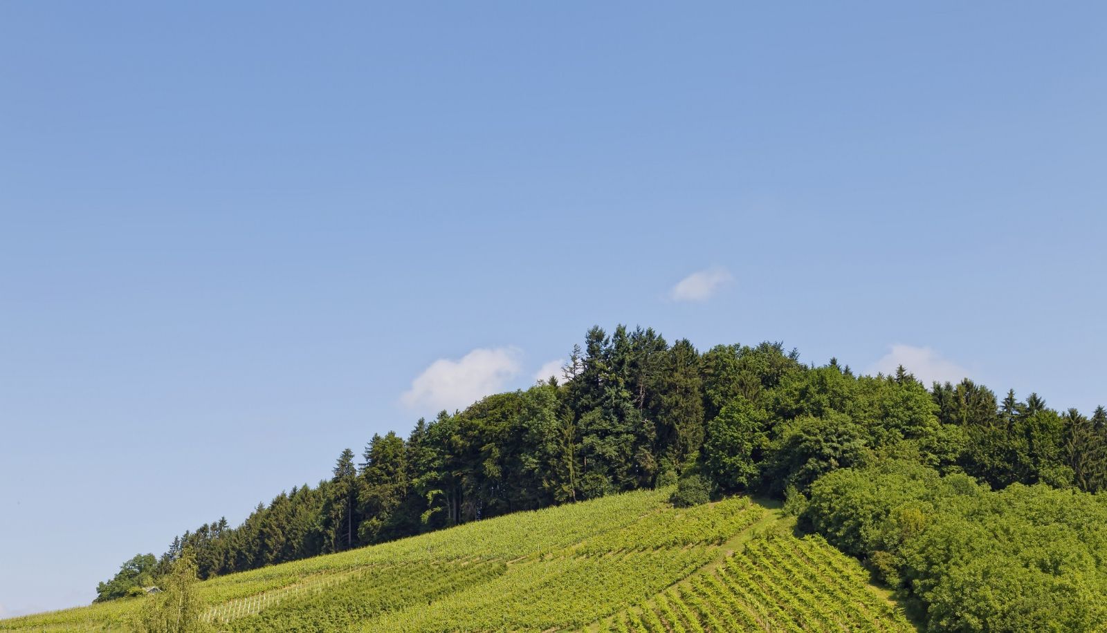Otoczenie - Schönau