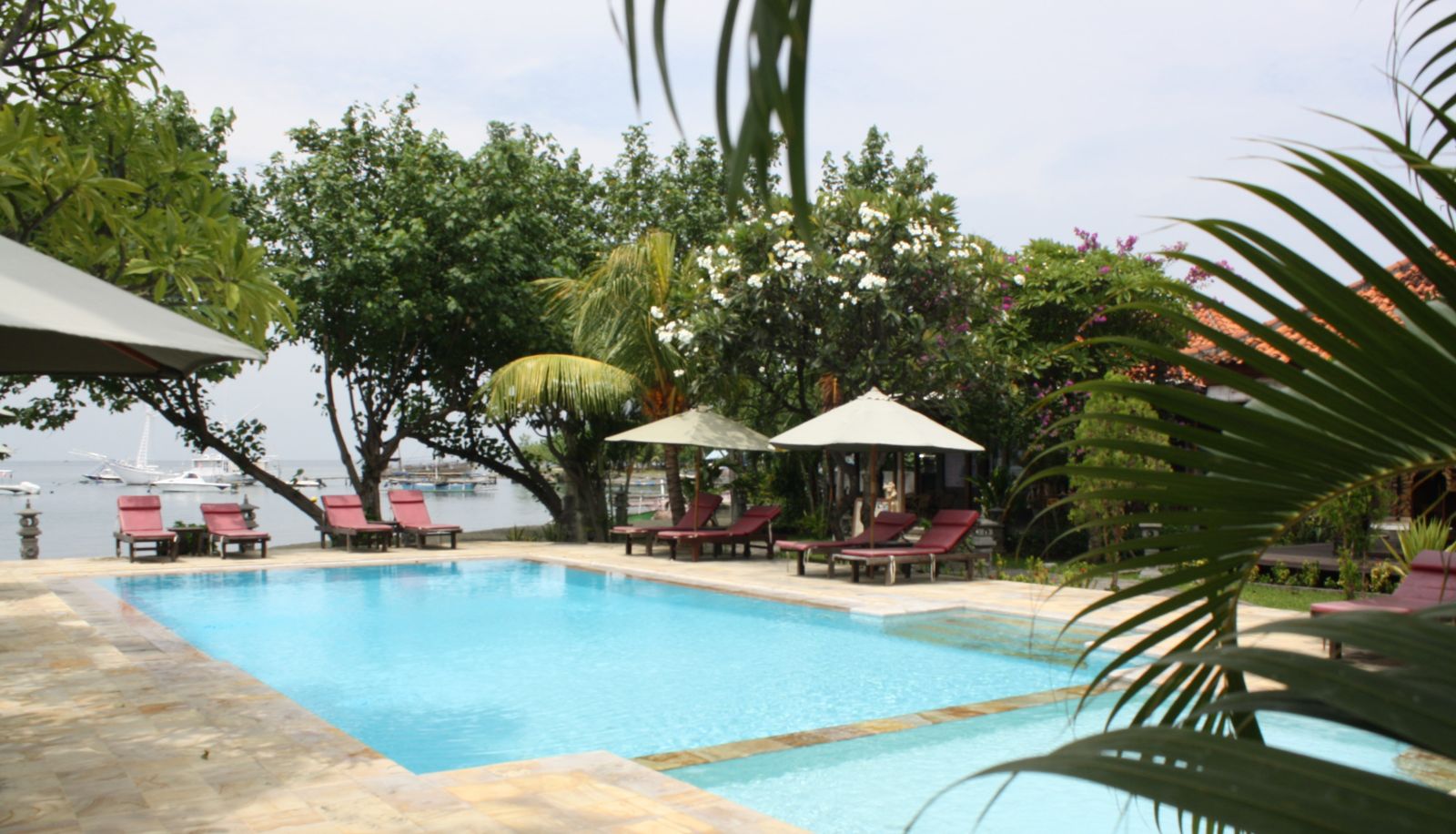 Zwembad - Adi Assri Beach Resort & Spa