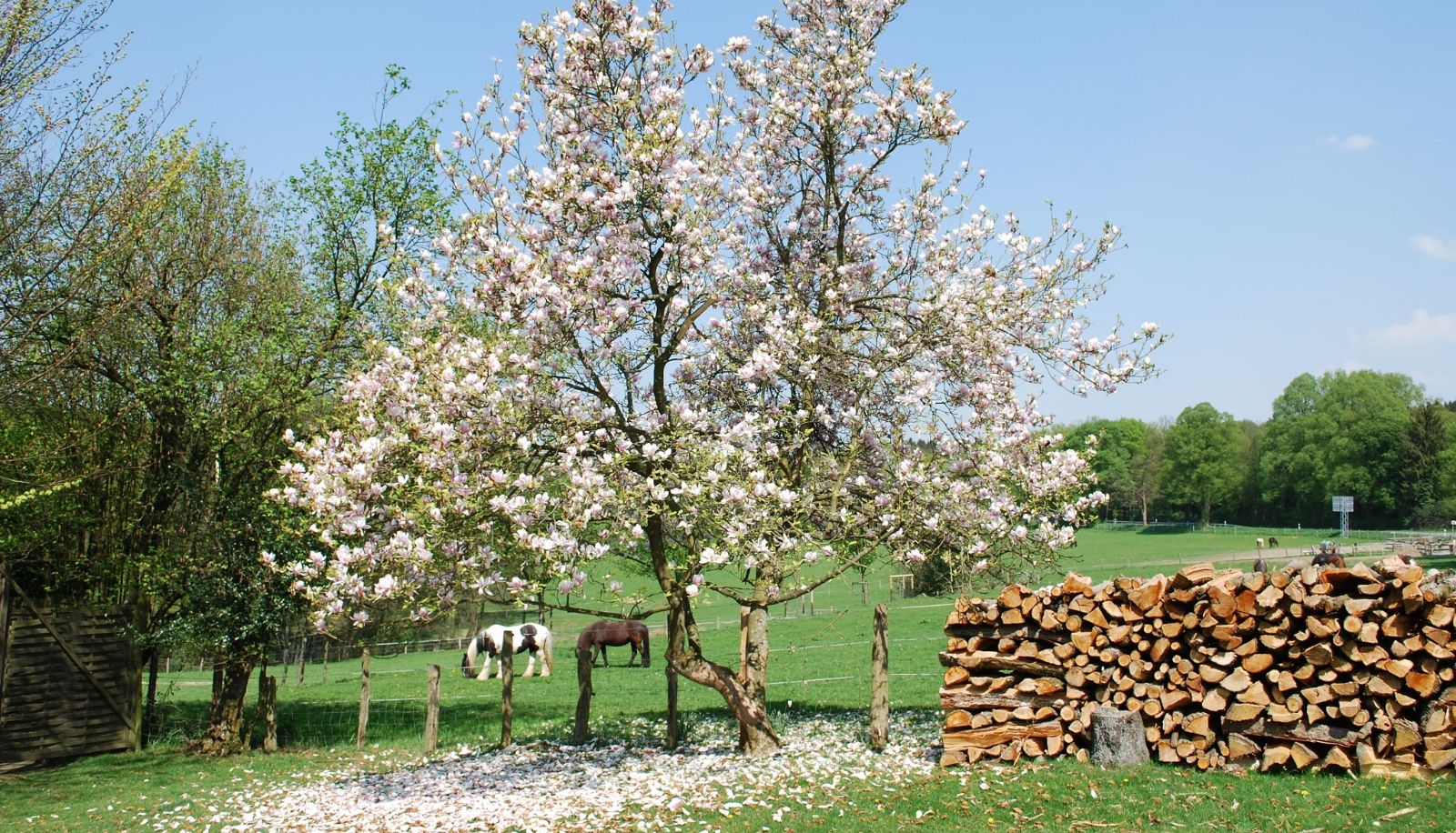 Otoczenie - Stöltings Landhaus