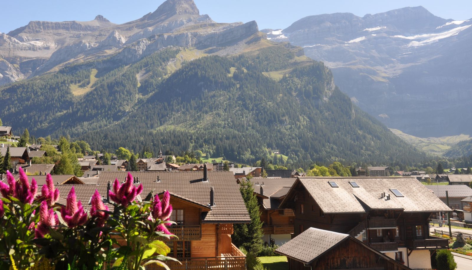 Vista - Le Chamois