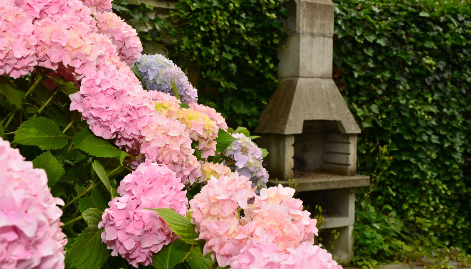 Jardin - Aparthotel Villa Home & Garden