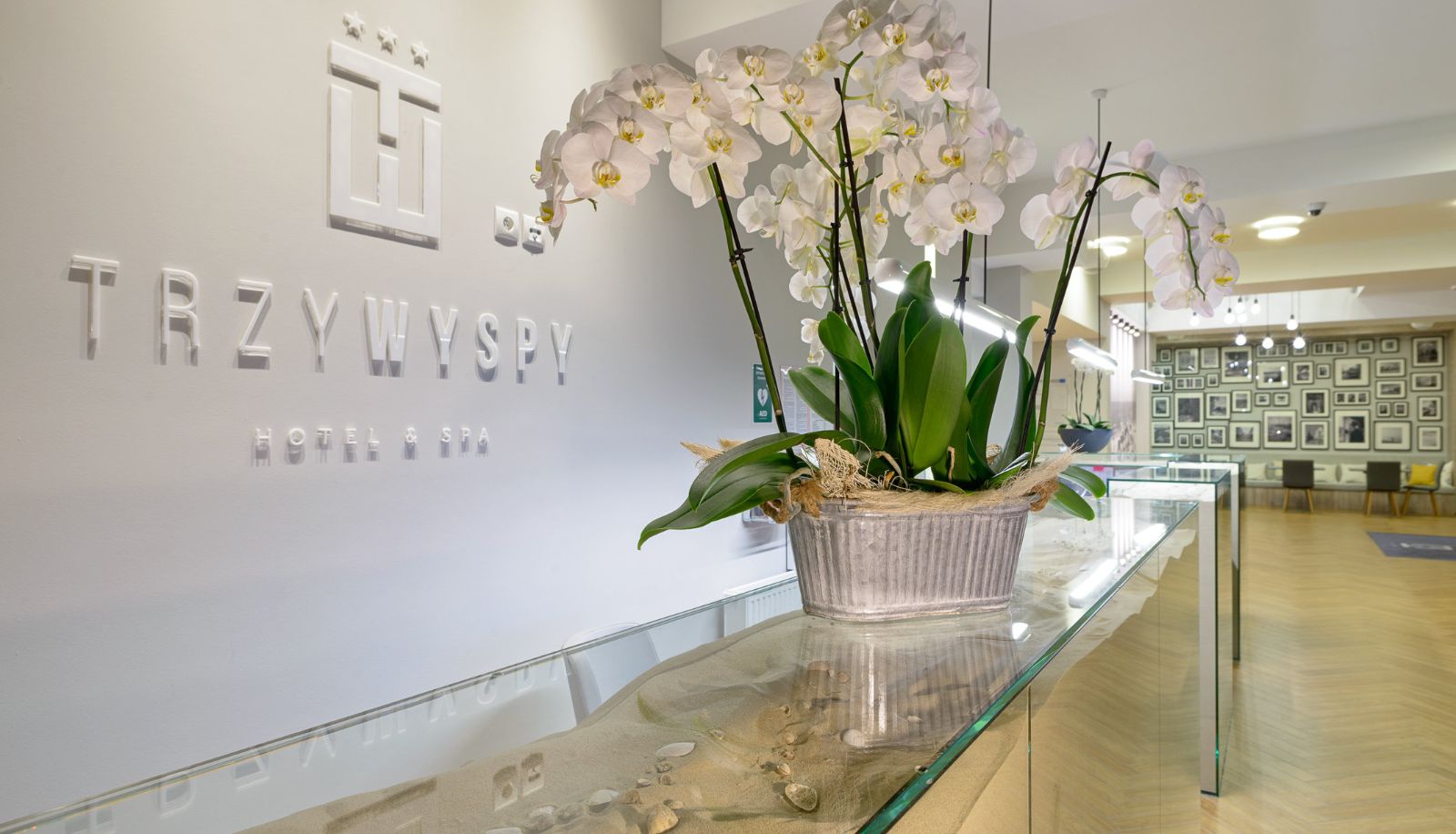 Rezeption - Hotel & Spa Trzy Wyspy