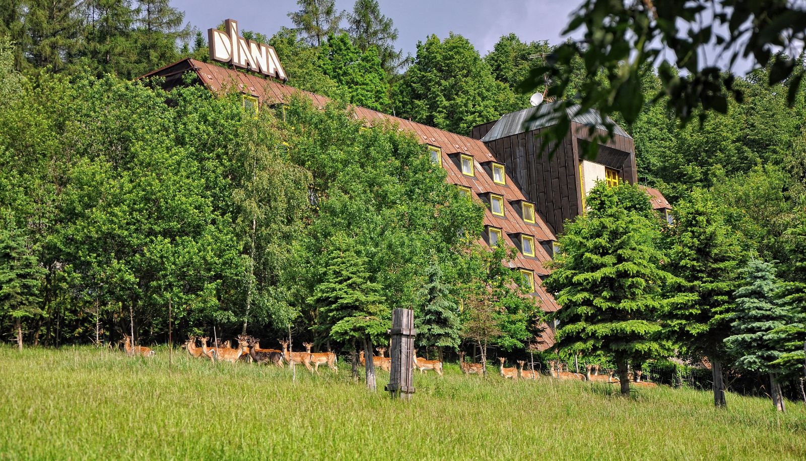 Zewnętrzna część hotelu - Wellness hotel Diana