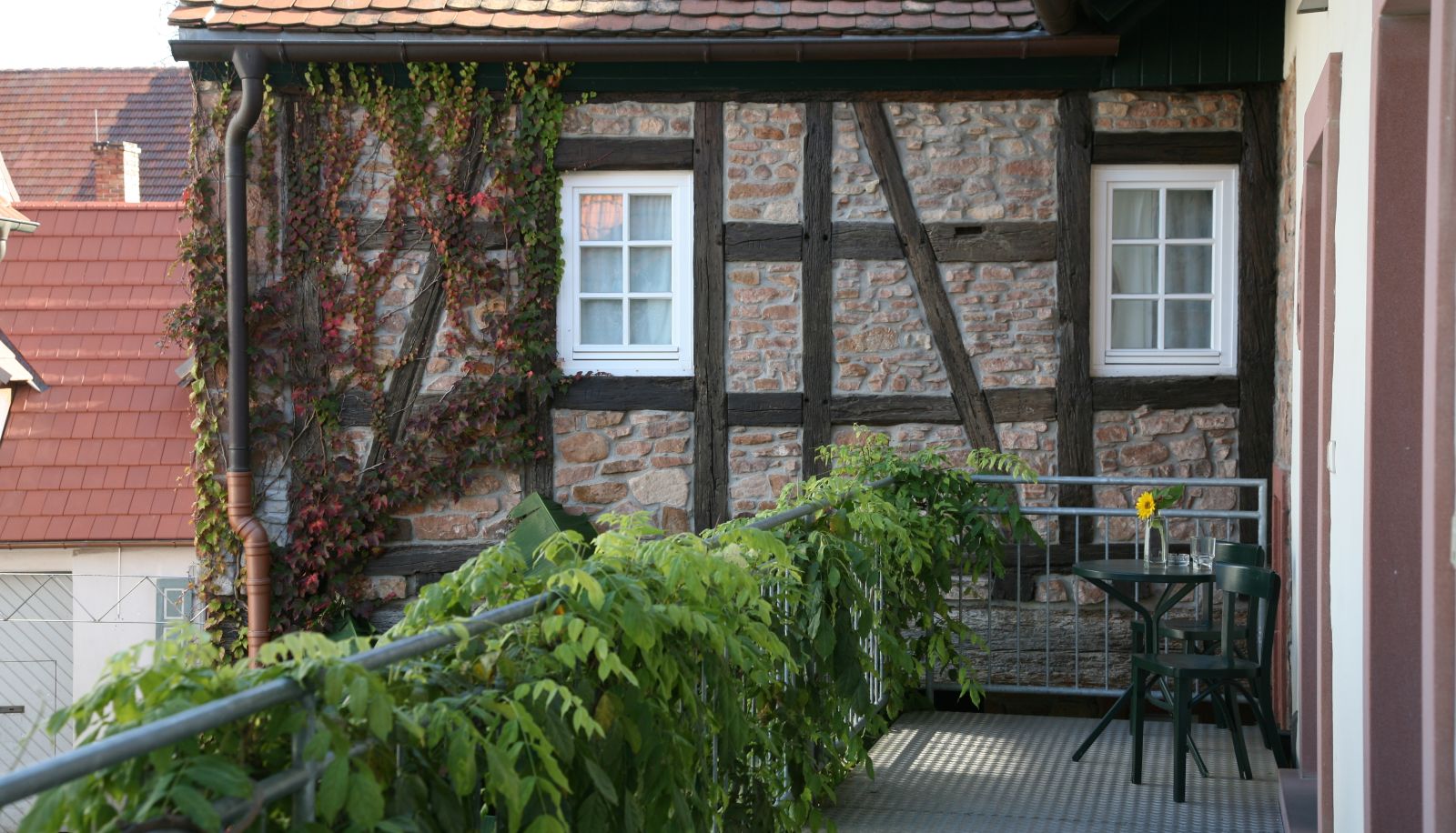 Hotel outdoor area - Alter Winzerhof Weisenheim am Berg e.K. *** SUPERIOR
