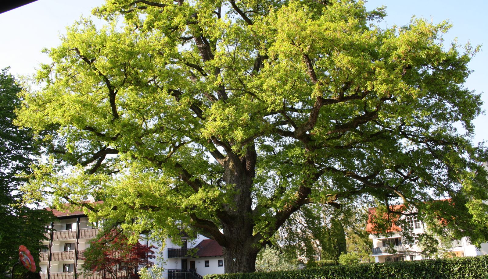 Ausblick - Grabner Gästehaus-Aparthotel