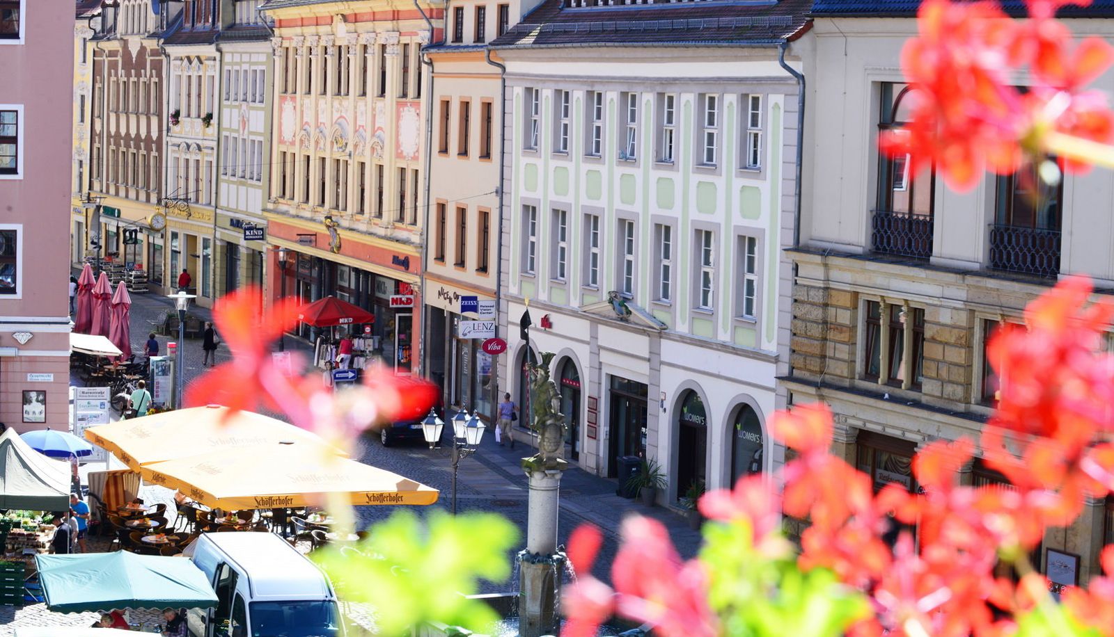 View - Goldener Adler
