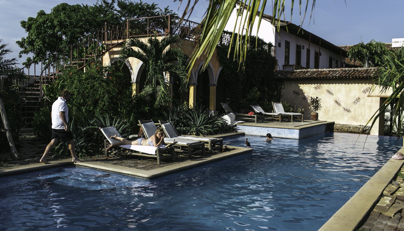 Basen - Mansion de Chocolate