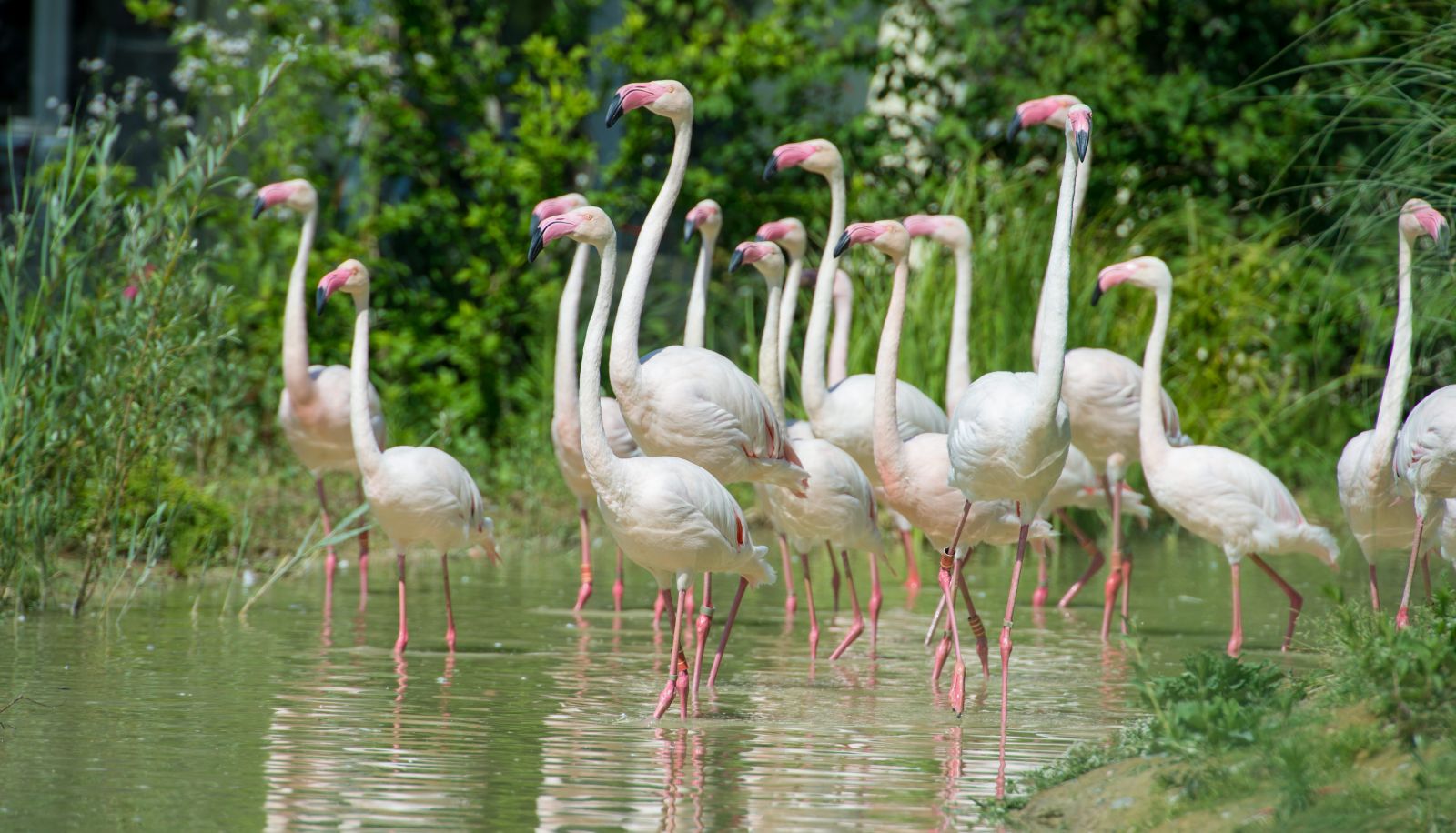 Entorno - Florida