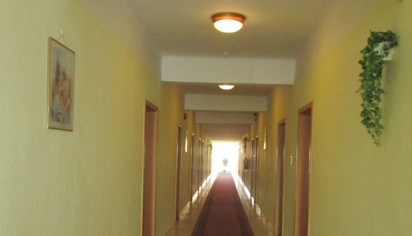 Info - Nap Hotel