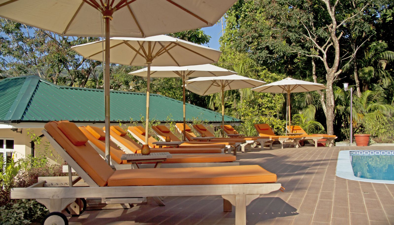 Area esterna dell'hotel - The Palm Seychelles