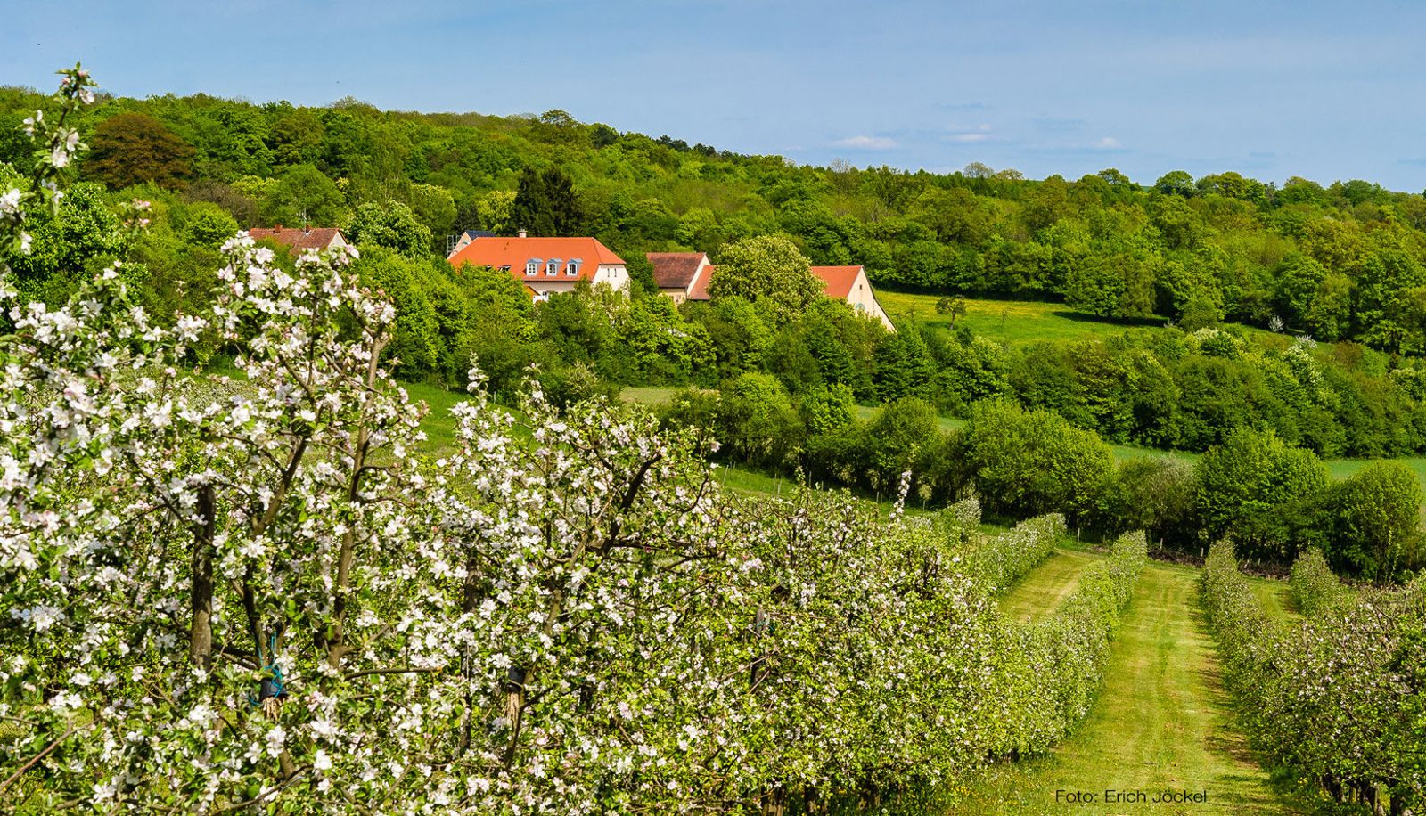 Dintorni - Landgasthaus Wintringer Hof