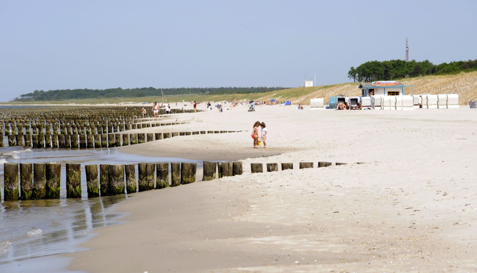 Beach - Susewind