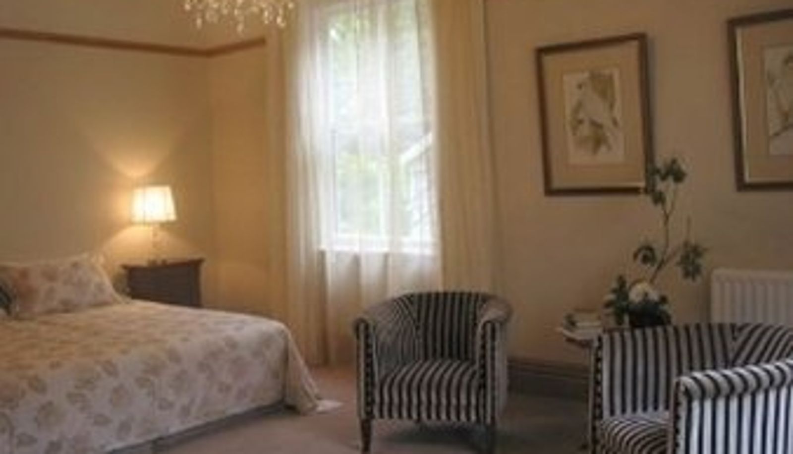 Camera - The Peppertree Luxury Accommodation