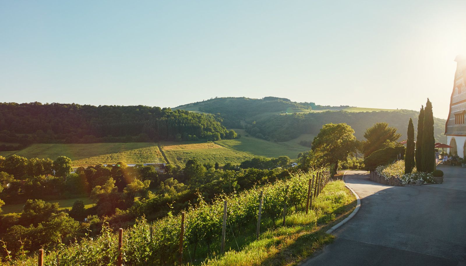 Surrounding - Gut Hermannsberg Weingut & Gästehaus