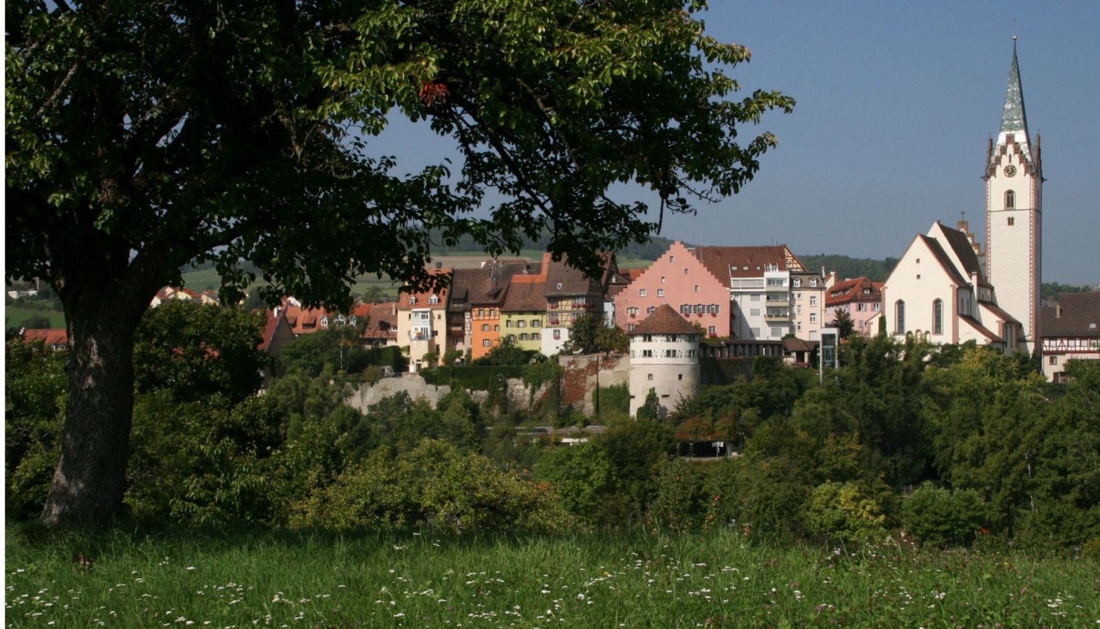 Vista - Engener Höh