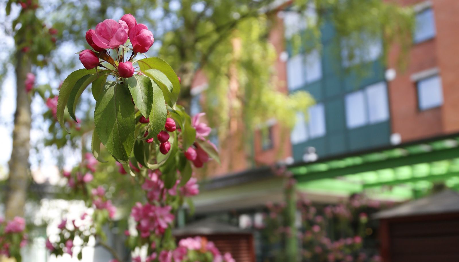 Garten - Amrita Hotel