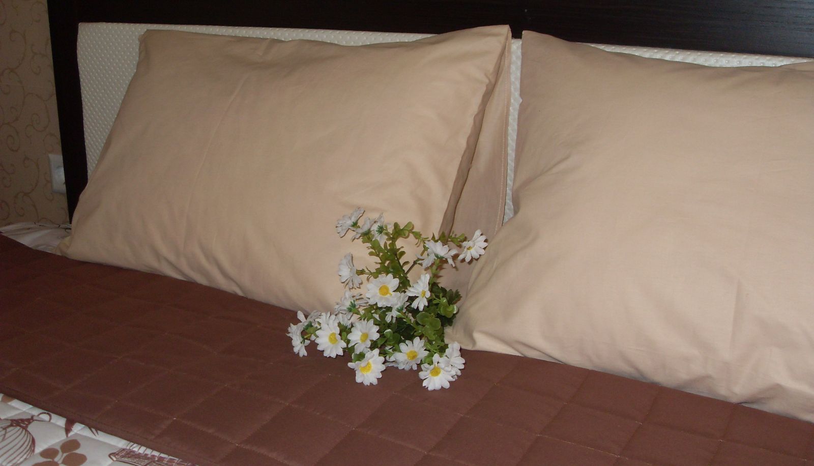 Standardzimmer (Einzel) - Vila LoLo
