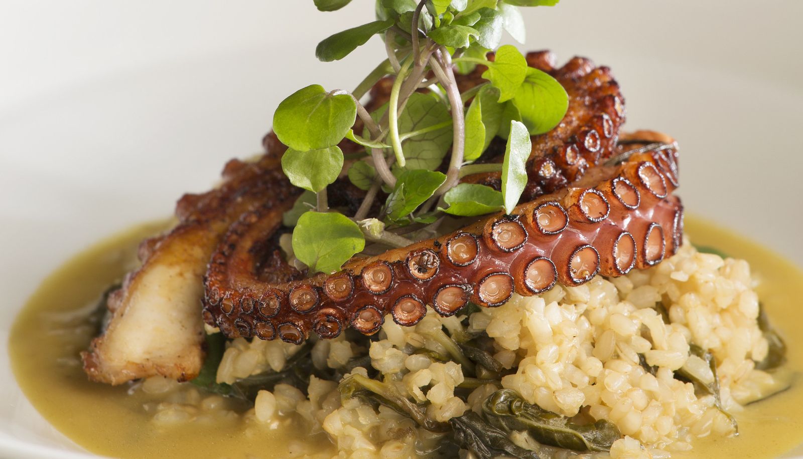 Restaurant - Yoo2 Rio de Janeiro | Tapestry Collection by Hilton