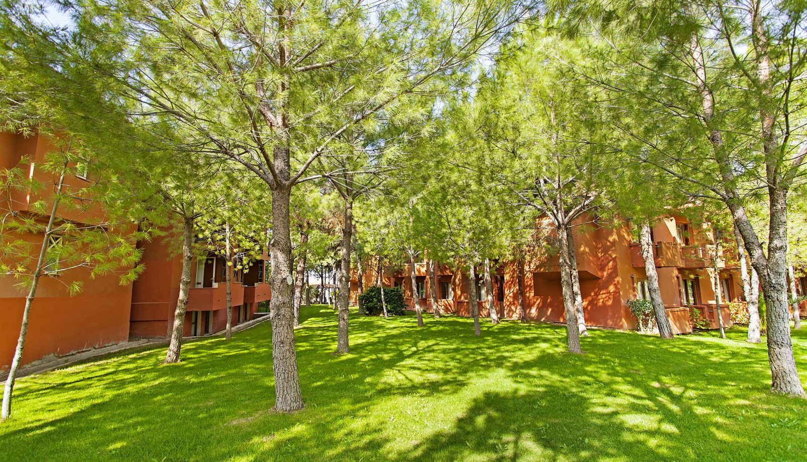 Garten - Polat Thermal Hotel