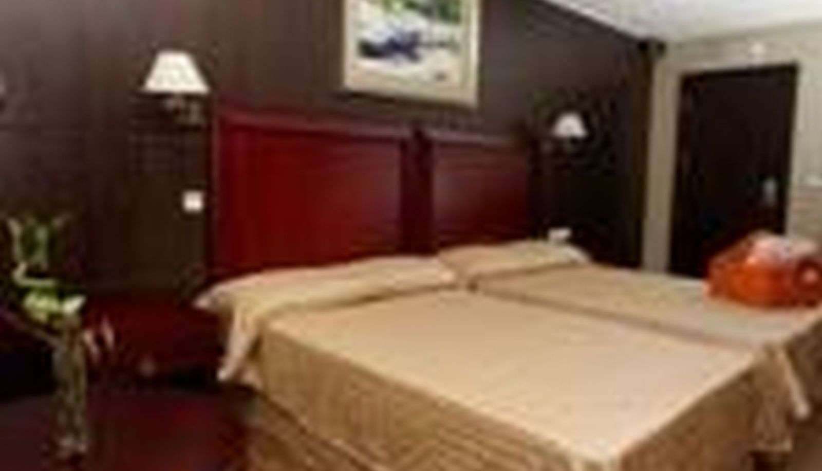 Standard room (double) - Aguilas Hotel Resort