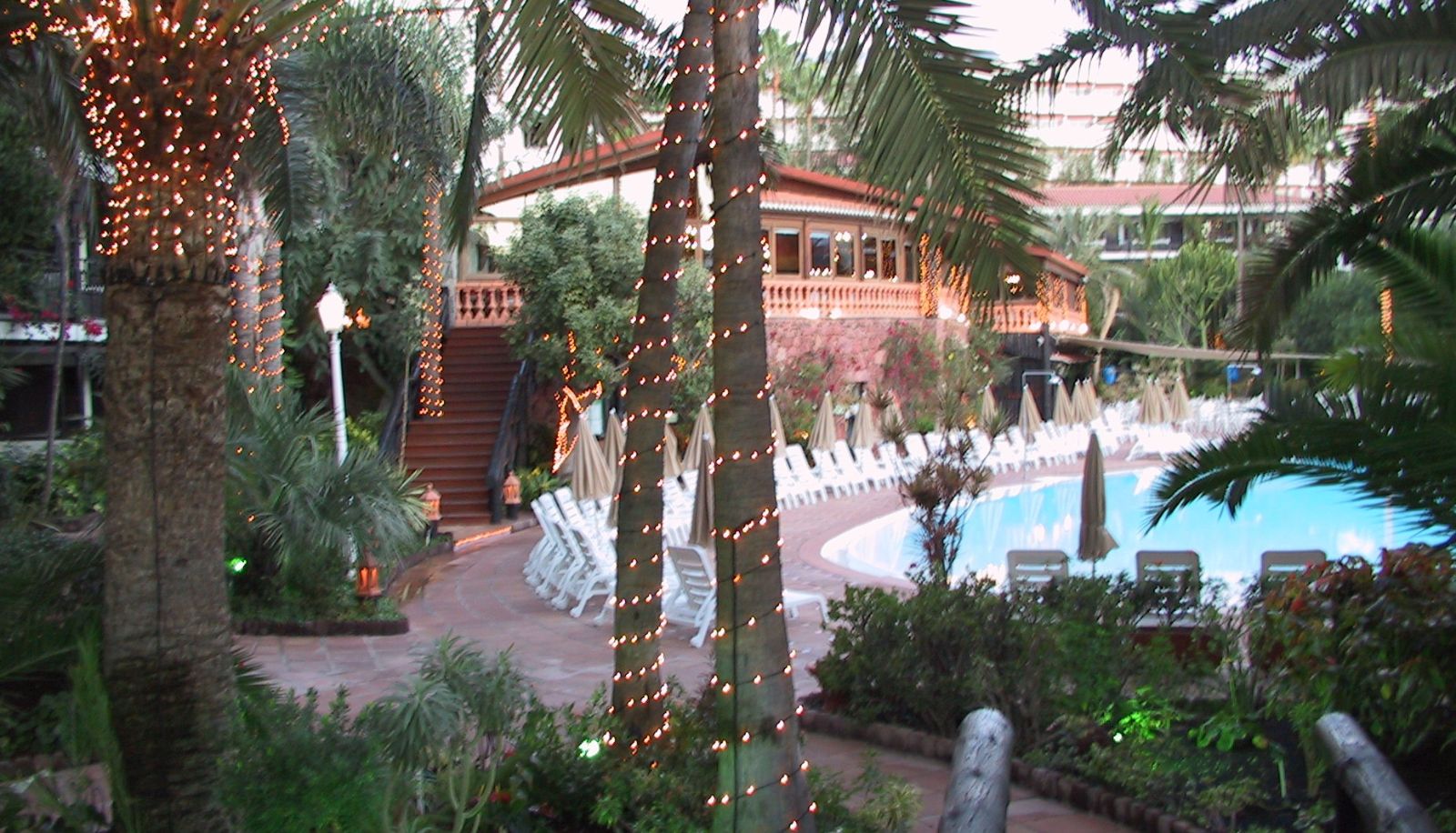 Ogród - Parque Tropical