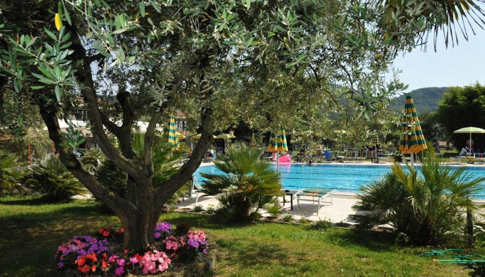 Garten - Park Hotel Oasi