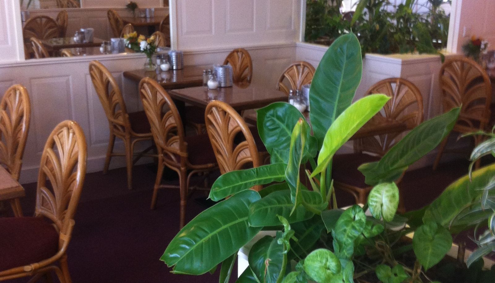 Breakfast room within the restaurant - Maurits